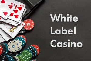 6 White Label Casino Skills
